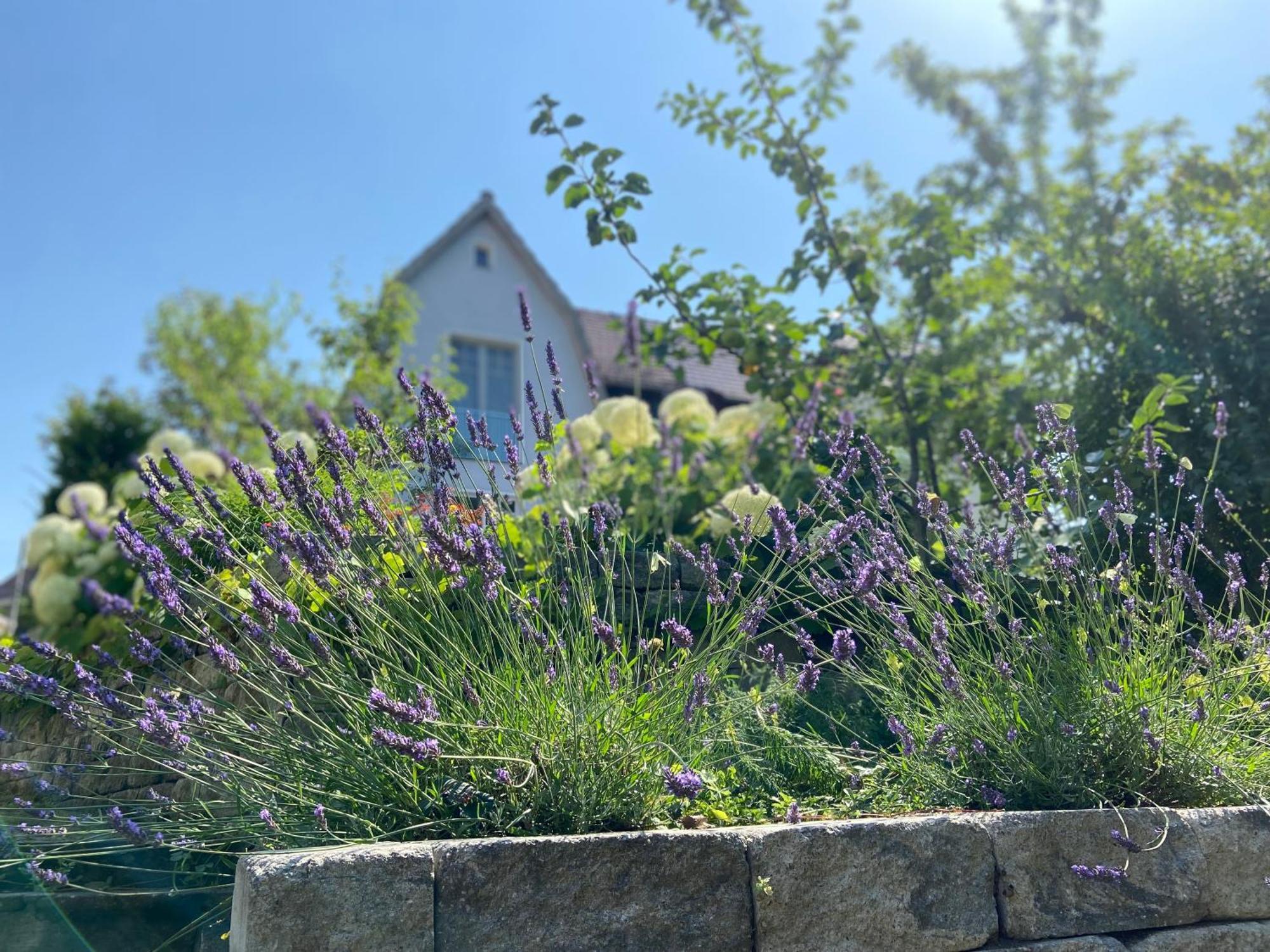 Romantik Idyll Am Tiefental Konigsbruck Dış mekan fotoğraf