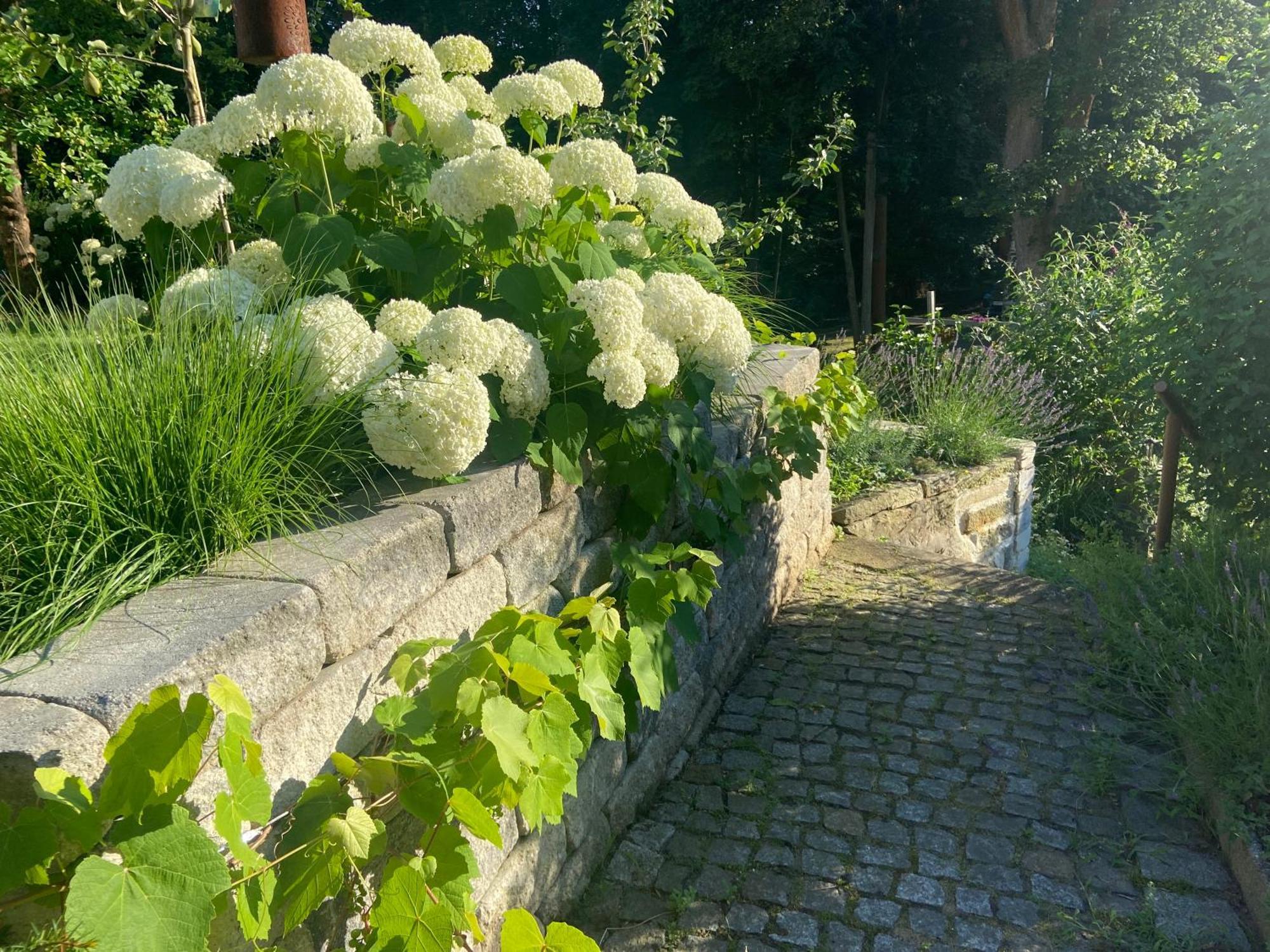 Romantik Idyll Am Tiefental Konigsbruck Dış mekan fotoğraf