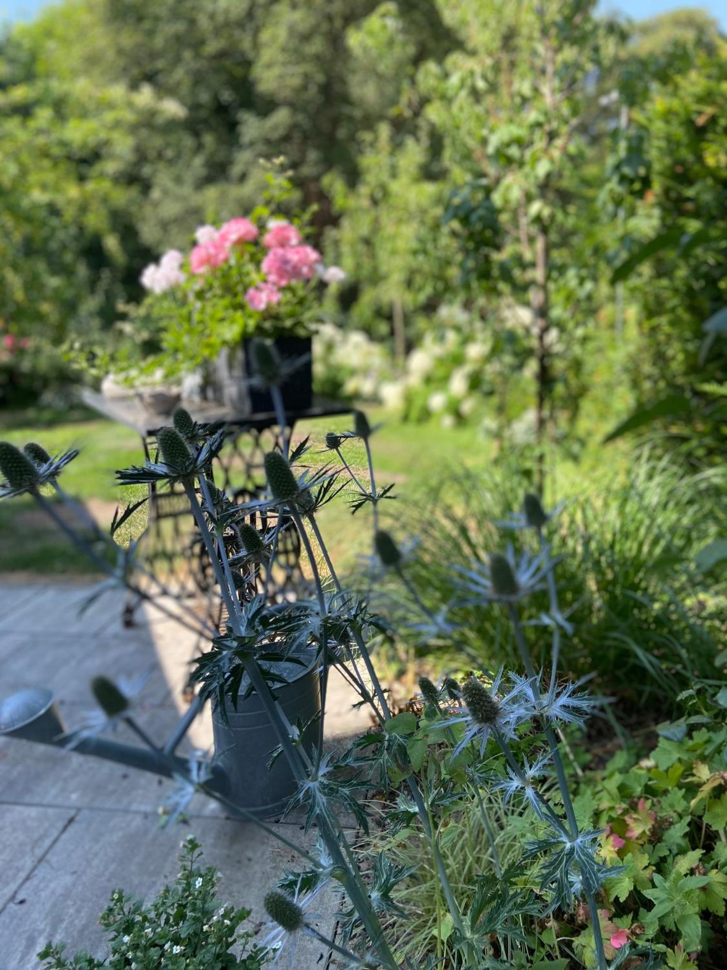 Romantik Idyll Am Tiefental Konigsbruck Dış mekan fotoğraf